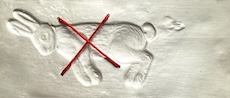 img_3158.png