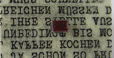 img_5198_kopie.jpg